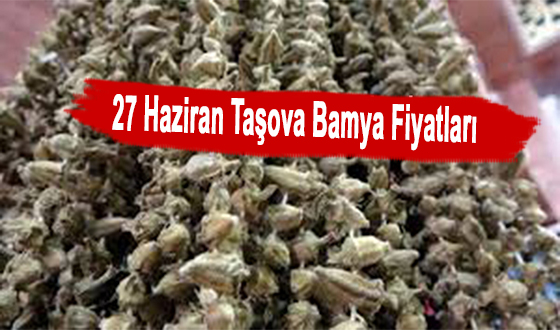 27 Haziran Taşova Bamya Fiyatları