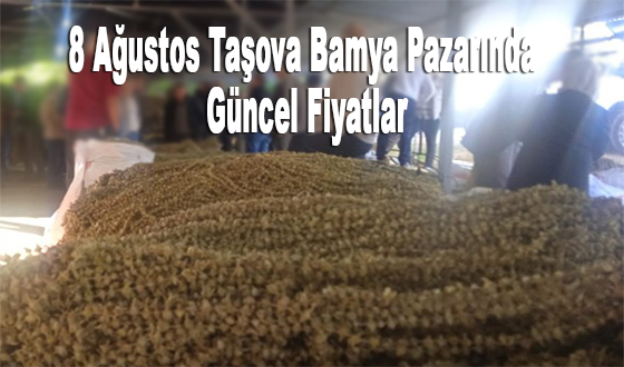 8 Ağustos Taşova Bamya Pazarında Güncel Fiyatlar