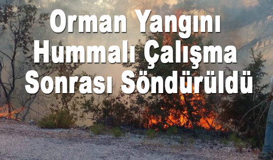 Orman Yangını Hummalı Çalışma Sonrası Söndürüldü