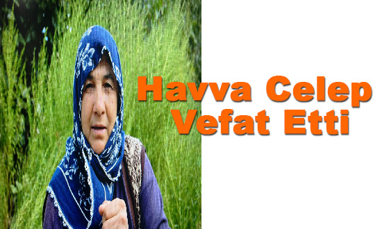 Havva Celep Vefat Etti