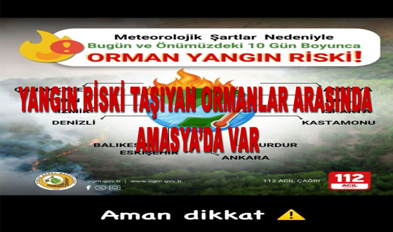 YANGIN RİSKİ TAŞIYAN ORMANLARA ARASINDA AMASYADA VAR