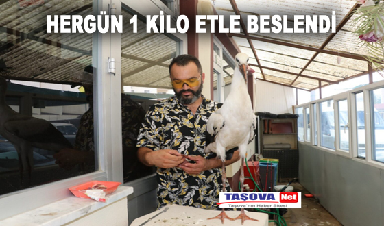 HERGÜN 1 KİLO ETLE BESLENDİ