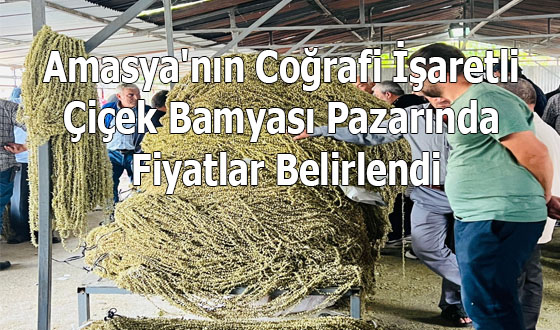 Amasya'nın Coğrafi İşaretli Çiçek Bamyası Pazarında Fiyatlar Belirlendi