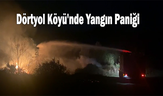 Dörtyol Köyü'nde Yangın Paniği