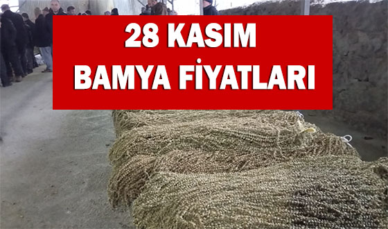 28 KASIM BAMYA FİYATLARI