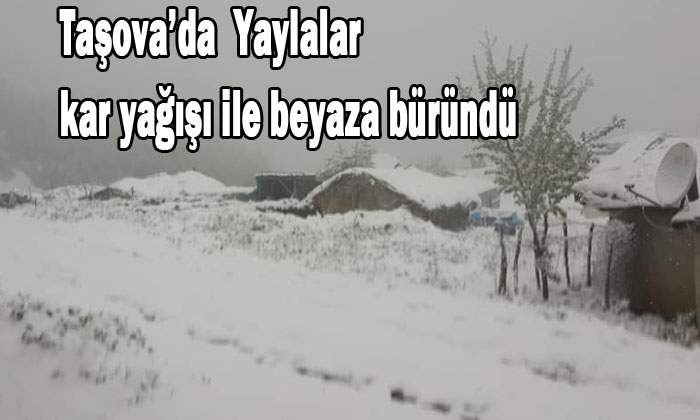 Taşova'da Yaylalar kar yağışı ile beyaza büründü