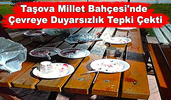 Taşova Millet Bahçesi'nde Çevreye Duyarsızlık Tepki Çekti