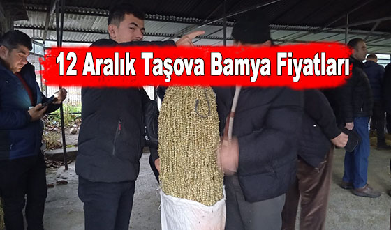 12 Aralık Taşova Bamya Fiyatları