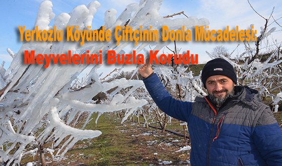 Yerkozlu Köyünde Çiftçinin Donla Mücadelesi: Meyvelerini Buzla Korudu