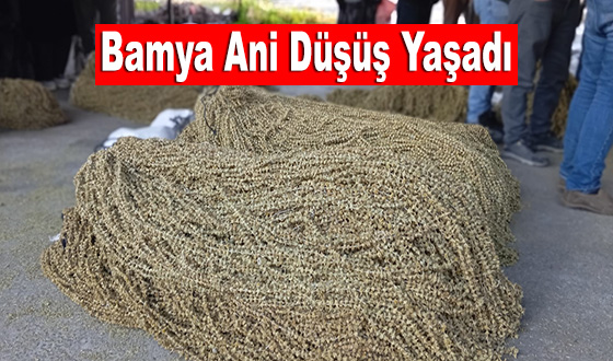Bamya Ani Düşüş Yaşadı