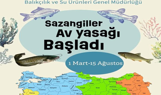 Amasya’da Sazangiller İçin Av Yasağı Başladı!