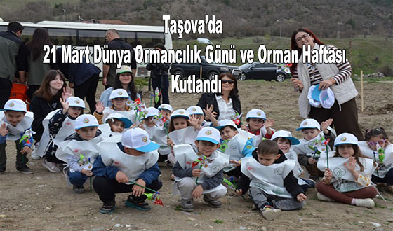 Taşova’da 21 Mart Dünya Ormancılık Günü ve Orman Haftası Kutlandı