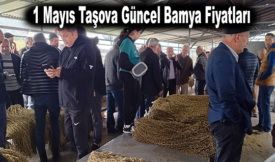 1 Mayıs Taşova Güncel Bamya Fiyatları