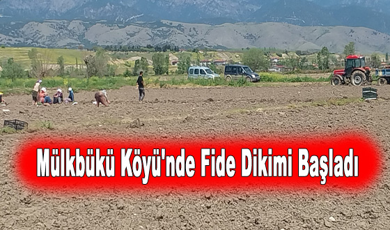 Mülkbükü Köyü'nde Fide Dikimi Başladı
