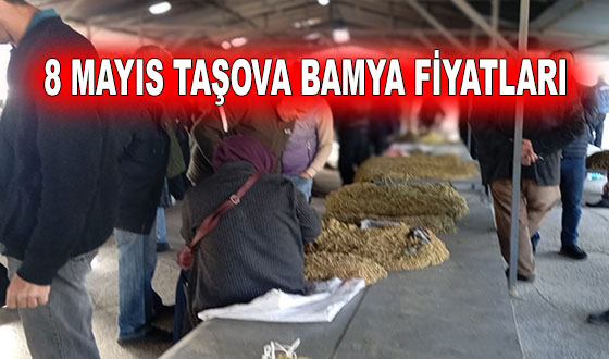  8 MAYIS TAŞOVA BAMYA FİYATLARI