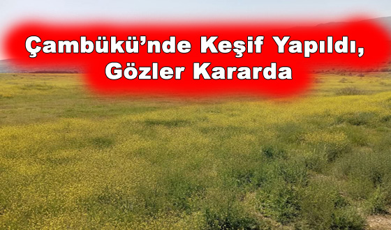 Çambükü’nde Keşif Yapıldı, Gözler Kararda