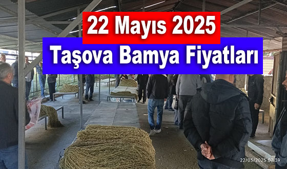 22 Mayıs 2025 Taşova Bamya Fiyatları