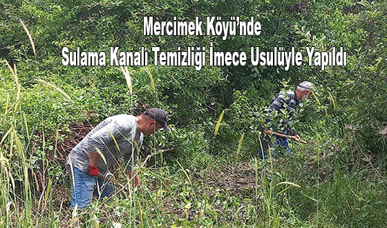 Mercimek Köyü’nde Sulama Kanalı Temizliği İmece Usulüyle Yapıldı