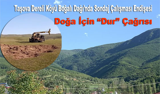 Taşova Dereli Köyü Boğalı Dağı’nda Sondaj Çalışması Endişesi: Doğa İçin “Dur” Çağrısı
