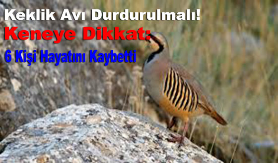 Keklik Avı Durdurulmalı! Keneye Dikkat: 6 Kişi Hayatını Kaybetti