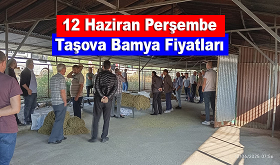 12 Haziran Taşova Bamya Fiyatları