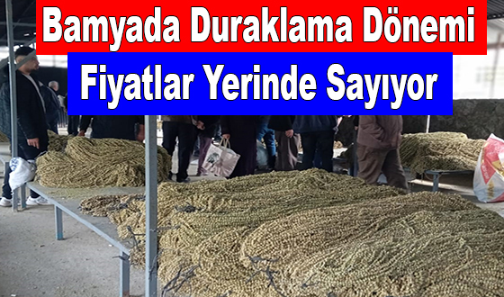 Bamyada Duraklama Dönemi: Fiyatlar Yerinde Sayıyor