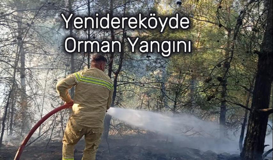 Yenidereköy’de Orman Yangını Korkuttu