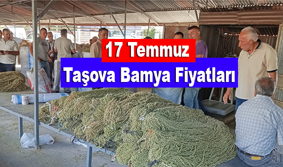 17 Temmuz Taşova Bamya Fiyatları