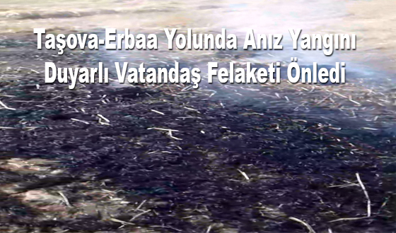 Taşova-Erbaa Yolunda Anız Yangını: Duyarlı Vatandaş Felaketi Önledi