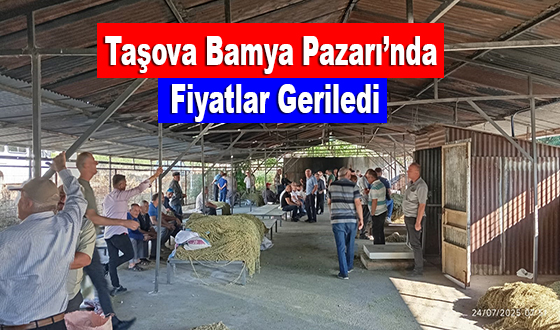 Taşova Bamya Pazarı’nda Fiyatlar Geriledi