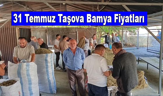 31 Temmuz Taşova Bamya Fiyatları