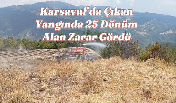 Karsavul’da Çıkan Yangında 25 Dönüm Alan Zarar Gördü