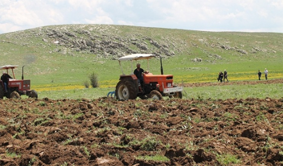 1 Eylül’de Başlıyor: Ekim Yapılmayan Tarlalar Kiraya Verilecek