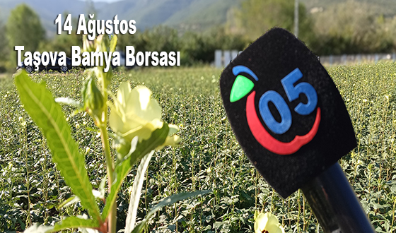 14 Ağustos Taşova Bamya Borsası