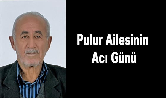 Pulur Ailesinin Acı Günü