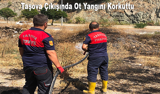 Taşova Çıkışında Ot Yangını Korkuttu