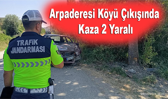 Arpaderesi Köyü Çıkışında Kaza: 2 Yaralı