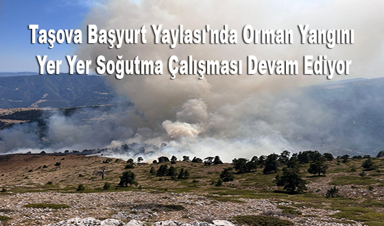 Taşova Başyurt Yaylası'nda Orman Yangını: Yer Yer Soğutma Çalışması Devam Ediyor