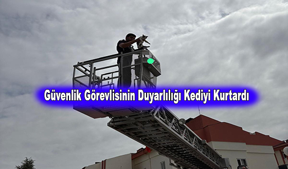 Güvenlik Görevlisinin Duyarlılığı Kediyi Kurtardı