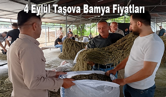 4 Eylül Taşova Bamya Fiyatları