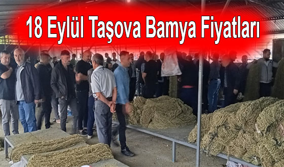 18 Eylül Taşova Bamya Fiyatları