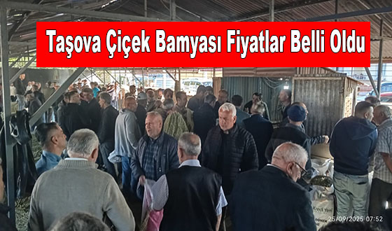 Taşova Çiçek Bamyası Fiyatlar Belli Oldu