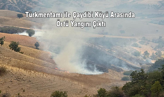 Türkmentamı ile Çaydibi Köyü Arasında Örtü Yangını Çıktı