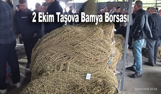 2 Ekim Taşova Bamya Borsası