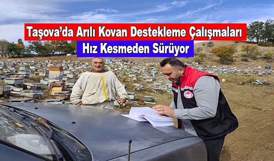 Taşova’da Arılı Kovan Destekleme Çalışmaları Hız Kesmeden Sürüyor