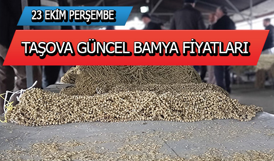 23 EKİM PERŞEMBE TAŞOVA BAMYA FİYATLARI