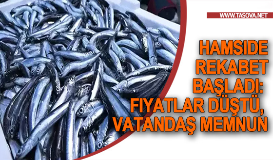 Hamside Rekabet Başladı: Fiyatlar Düştü, Vatandaş Memnun