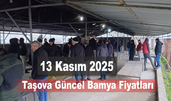 13 Kasım Taşova Güncel Bamya Fiyatları