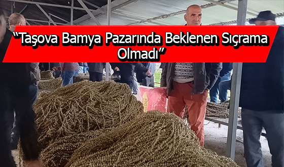 “Taşova Bamya Pazarında Beklenen Sıçrama Olmadı”