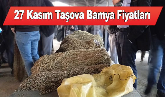 27 Kasım Taşova Bamya Fiyatları